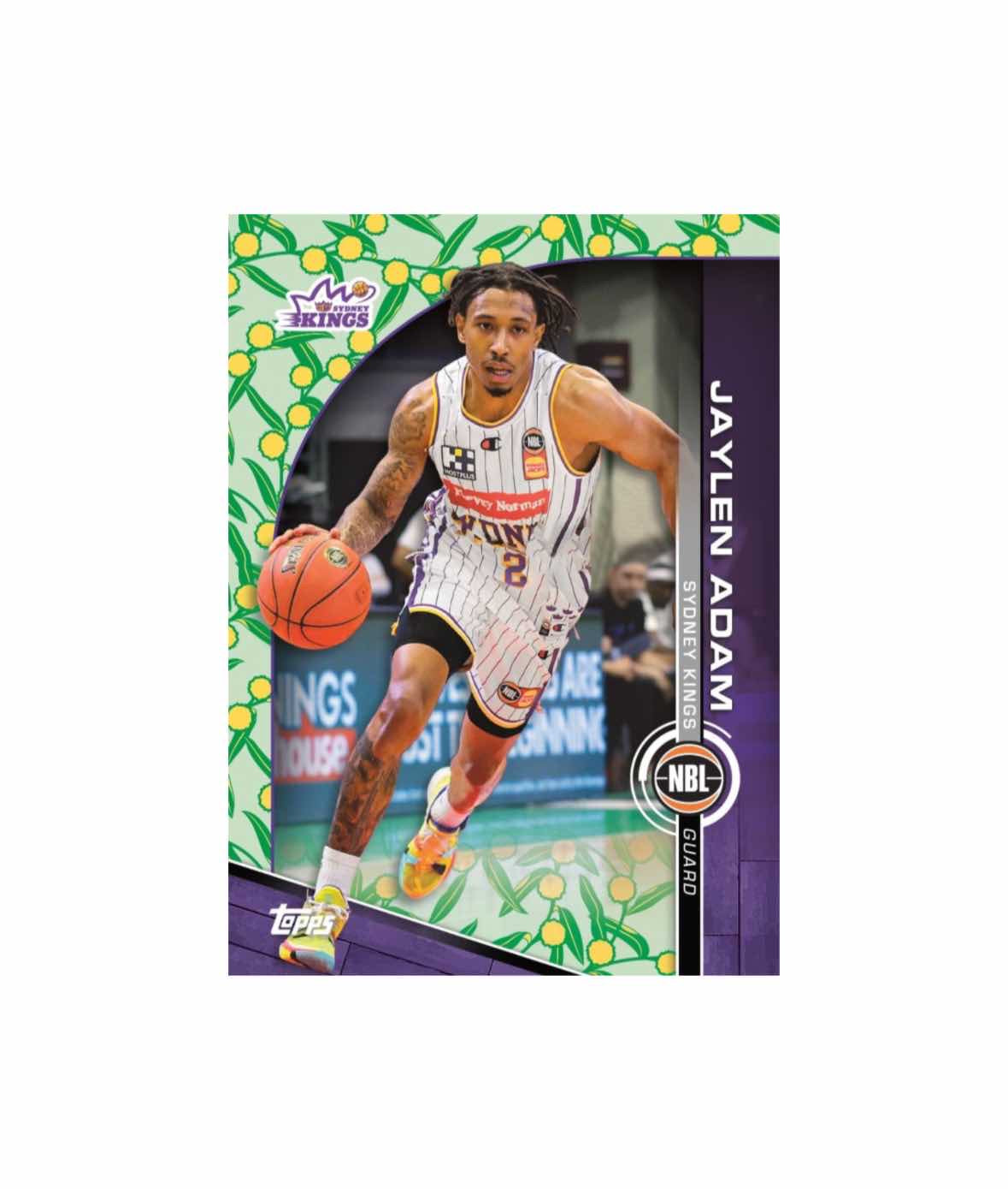 2023-24 Topps NBL Hobby Card