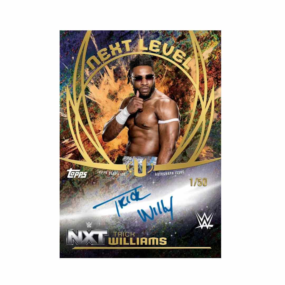 2025 Topps WWE Universe Wrestling Hobby Pack